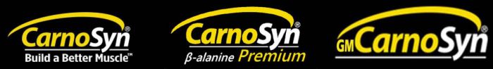 CarnoSyn-3-logos-banner.jpg
